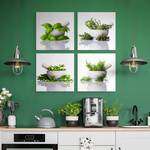 Set De Tableaux HERBES Dans Un Mortier 100 x 100 x 100 cm