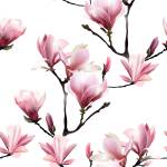 Tapete BLUMEN Magnolien Zweige Natur Schwarz - Grün - Pink - Weiß - Papier - Textil - 53 x 1000 x 1000 cm