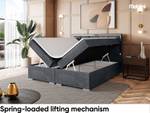 Boxspringbett Dani Silver Dunkelgrau - 200 x 234 cm - H4