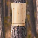 XL Fledermauskasten aus Holz