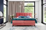 Boxspringbett  Levante Bordeaux