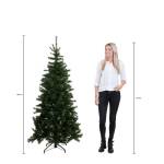 Weihnachtsbaum Forrester 109 x 185 x 109 cm