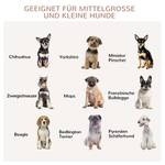 Hundekäfig D02-136V00WT Glas Weiß