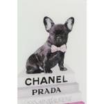 Tableau en verre Fashion Dog Blanc - Verre - 60 x 80 x 4 cm