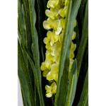 Plante décorative Rhynchostylis Vert - Matière plastique - 20 x 150 x 20 cm