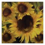 Wandbild Sonnenblumen Natur