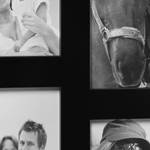 Bilderrahmen Collage XXL für 14 Fotos Schwarz - Papier - Kunststoff - 36 x 118 x 2 cm