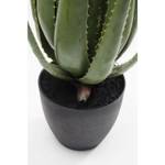 Plante décorative Aloe Vert - Matière plastique - 20 x 69 x 20 cm