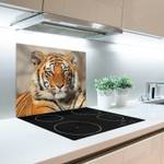 Schneidebrett bengalischer Tiger Orange - Glas - 52 x 1 x 60 cm