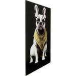 Tableau déco bouledogue collier Noir - Verre - 40 x 60 x 1 cm