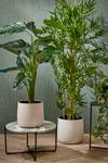 Kunstpflanze Philodendron Grün - Kunststoff - 70 x 100 x 70 cm