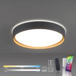 LED Deckenleuchte Q EMILIA  Smart Home Grau - Kunststoff - 50 x 12 x 50 cm