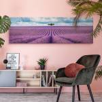 3D Lavendelfeld Panoramabild Landschaft