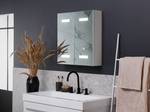 Armoire de toilette avec miroir TALAGAPA Argenté - Blanc - Bois manufacturé - 60 x 60 x 14 cm