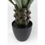 Plante décorative agave 20 x 85 x 20 cm