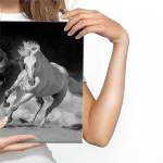 Leinwandbild Gallop Sand Pferde 3D Tiere