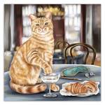 Leinwandbilder Braun Katze Tiere 30 x 30 cm