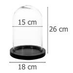 Basis 脴 18 schwarze Glaskuppel, cm,