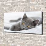 Wandbild Graue Katze Grau - Textil - Holz teilmassiv - 140 x 70 x 4 cm