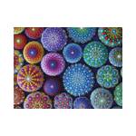 Bunte Teile Seeigel 1500 Puzzle