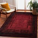 Tapis en Laine Omega Nakbar Oriental 235 x 350 cm