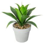 Künstliche Aloe Vera Grau - Keramik - 37 x 35 x 37 cm