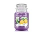 Duftkerze Lemon Lavender Violett - Wachs - 10 x 17 x 10 cm