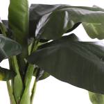 Bananenboom Pflanze K眉nstliche