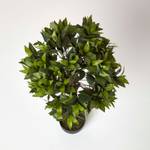 Kunstpflanze Lorbeerbaum Kugel Grün - Kunststoff - 16 x 91 x 91 cm
