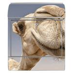 Stahl Briefkasten Kamele