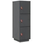 Highboard DE4441 Grau - Massivholz - 40 x 109 x 34 cm