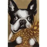 Bild Touched Dog with Pineapple Gold - Textil - 80 x 80 x 3 cm