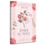 KUNSTDRUCK Rosier de France 80 x 120 cm