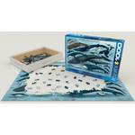 Puzzle Delfine und Wale Teile 1000