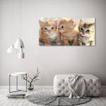 Wandbild Kleine Katzen 120 x 60 cm