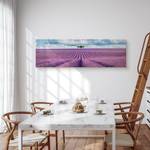 3D Lavendelfeld Panoramabild Landschaft