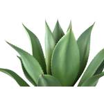 Plante artificielle Agave 50 x 56 x 50 cm