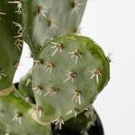 Kaktus Kunstpflanze