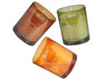 Bougie parfumée SHEER JOY Marron - Vert - Orange