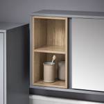 Spiegelschrank BZR149-DG Grau - 60 x 45 x 20 cm