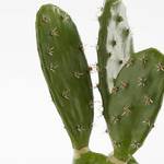 Kunstpflanze Kaktus