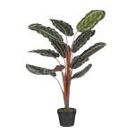 Plante artificielle Calathea Roseoptica Vert - Textile - 60 x 90 x 60 cm