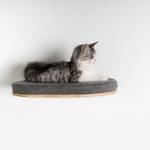 Kletterwand  Katzenbett de Luxe Grau