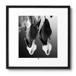 Fotografie limitiert Flower of Peace Schwarz - Weiß - Glas - Papier - 50 x 50 x 3 cm