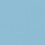 Oreiller d'extérieur Bleu clair - 45 x 45 cm