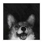 Illustration Hund Corgi Schwarz Weiß 180 x 180 cm