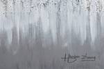 Acrylbild handgemalt Fading Horizon Grau - Massivholz - Textil - 150 x 50 x 4 cm