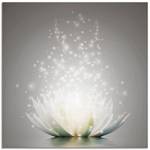 Glasbild Magie der Lotus-Blume Grau - 40 x 40 cm