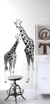 Giraffen Fototapete