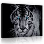 Leinwandbild Tiger Tiere Wohnzimmer 100 x 75 cm